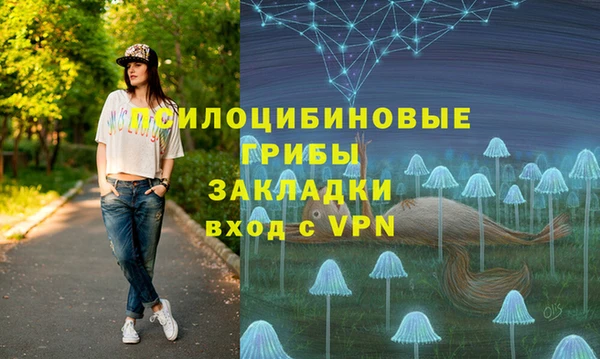 молекула духа Балабаново