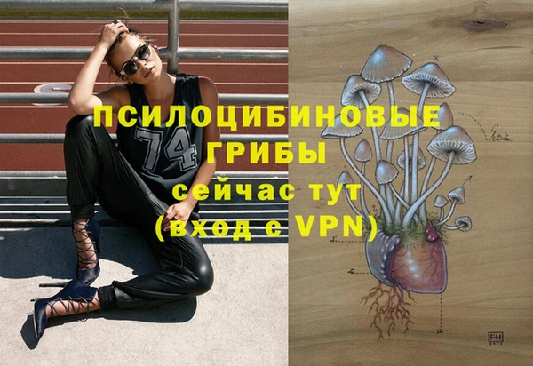 хмурый Балахна