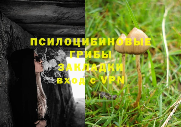 хмурый Балахна