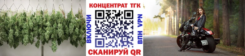 сайты даркнета официальный сайт  Хасавюрт  ТГК Wax 