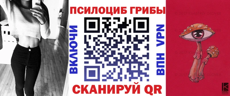Псилоцибиновые грибы прущие грибы  Хасавюрт 