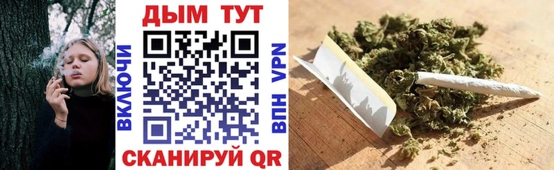 Бошки Шишки ГИДРОПОН  даркнет сайт  Хасавюрт 
